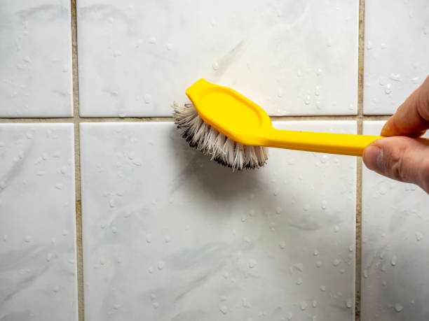 Best Mold Damage Repair  in Lake Ronkonkoma, NY