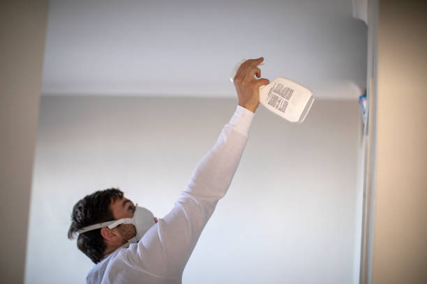 Best Mold Removal Company Near Me  in Lake Ronkonkoma, NY