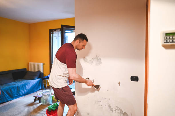 Best Certified Mold Removal  in Lake Ronkonkoma, NY